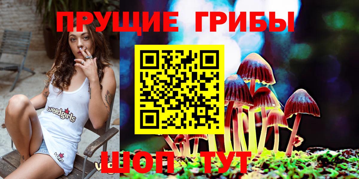 Псилоцибиновые грибы ЛСД Анапа