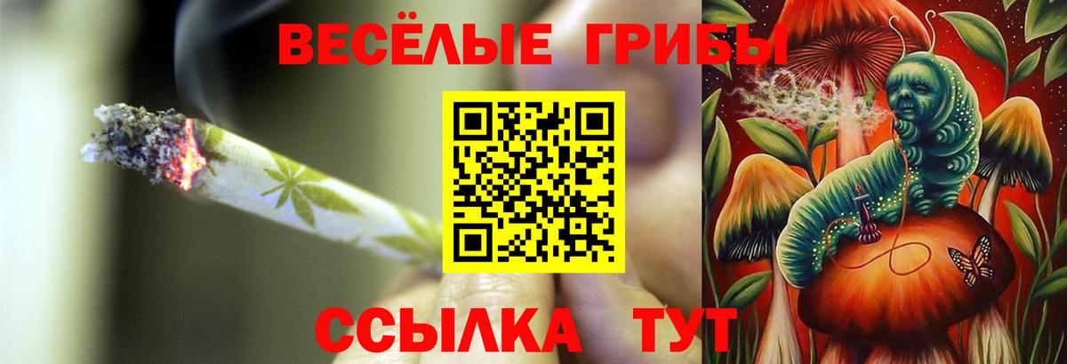 Анапа  Галлюциногенные грибы прущие грибы  Вход с VPN  Галлюциногенные грибы MAGIC MUSHROOMS 